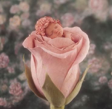 fleure